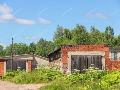 poselok-sovhoza-sormovskiy-proletariy-gorodskoy-okrug-bor фото