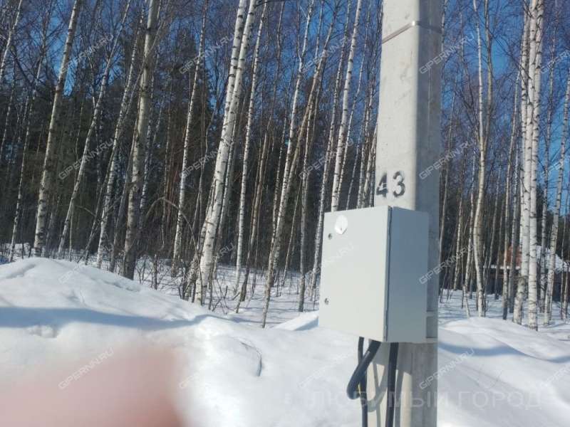 земельный участок 10,1 сотки Березовая пойма п