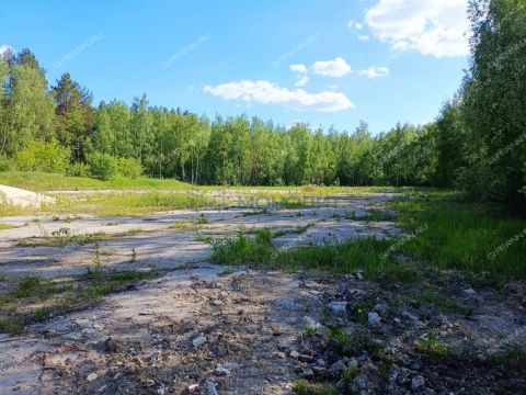 sh-moskovskoe-d-302e фото