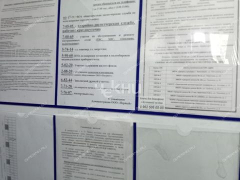 1-komnatnaya-gorod-zavolzhe-gorodeckiy-rayon фото