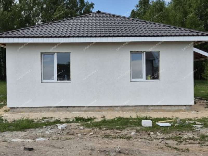 дом на Героя Демина ул. деревня Пруды