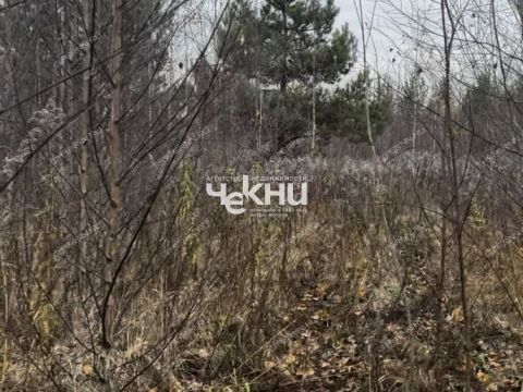 selo-bezvodnoe-kstovskiy-rayon фото