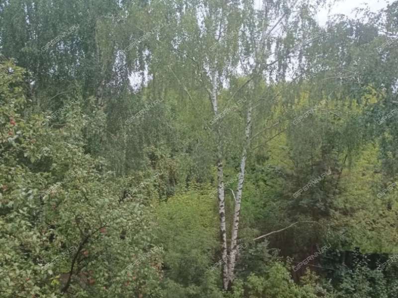 однокомнатная квартира на Яблоневой улице дом 17