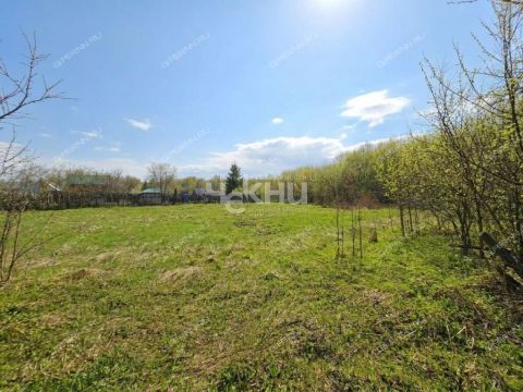 derevnya-blazhencovo-gorodeckiy-rayon фото