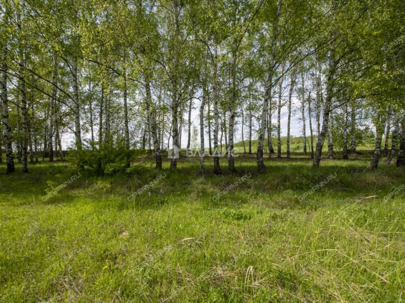 земельный участок 18 соток Овражная улица деревня Майдан