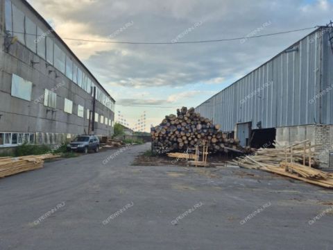 derevnya-prokoshevo-kstovskiy-rayon фото