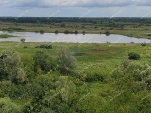 kottedzh-derevnya-malaya-elnya-kstovskiy-rayon фото