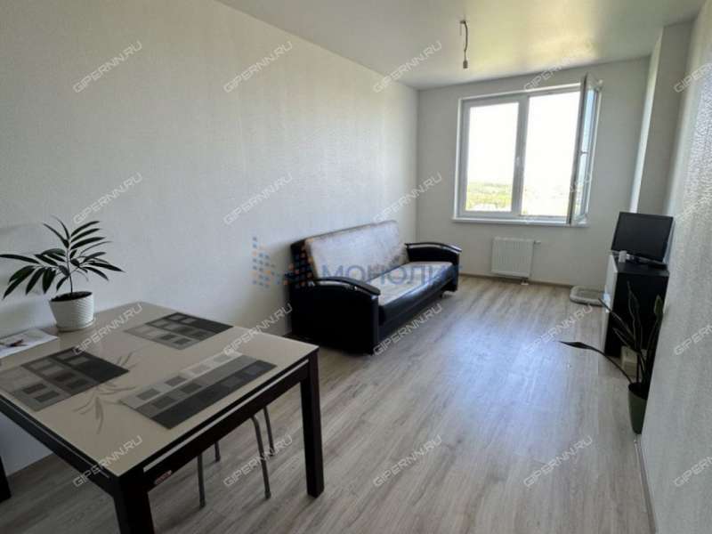 однокомнатная квартира на Русской улице улице дом 19 деревня Анкудиновка