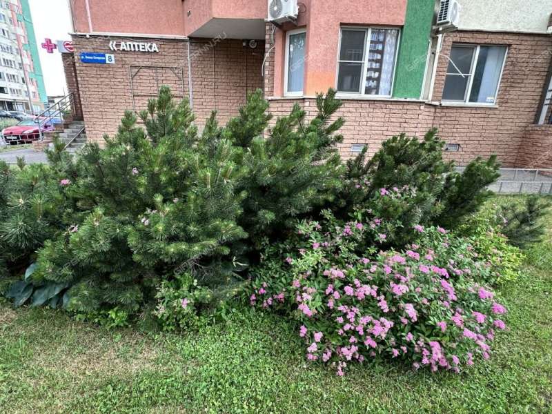 трёхкомнатная квартира на улице Нижне-Печерская дом 8