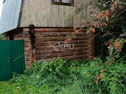 derevnya-krutec-gorodskoy-okrug-bor фото