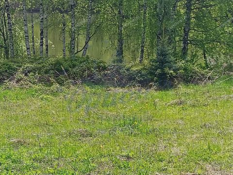 kottedzh-derevnya-burcevo-bogorodskiy-municipalnyy-okrug фото