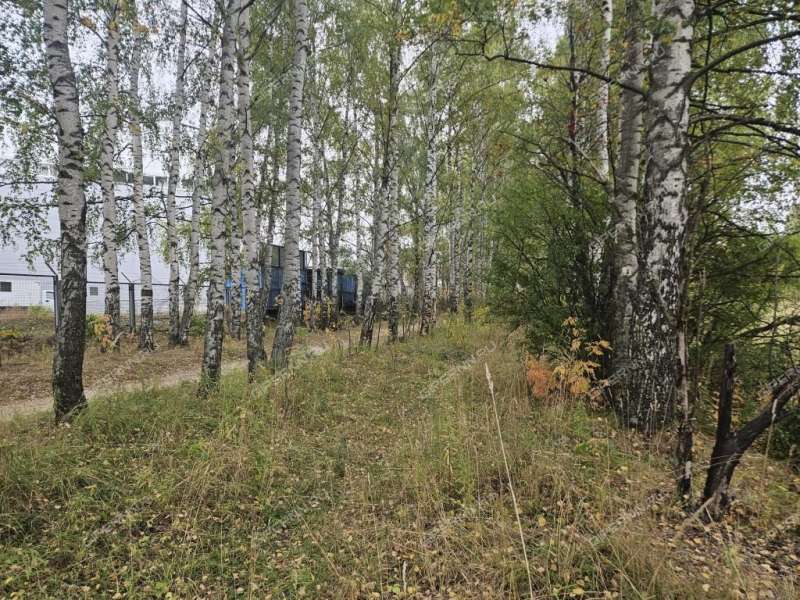 земельный участок под коммерческое использование в Кстовском районе Нижегородской области