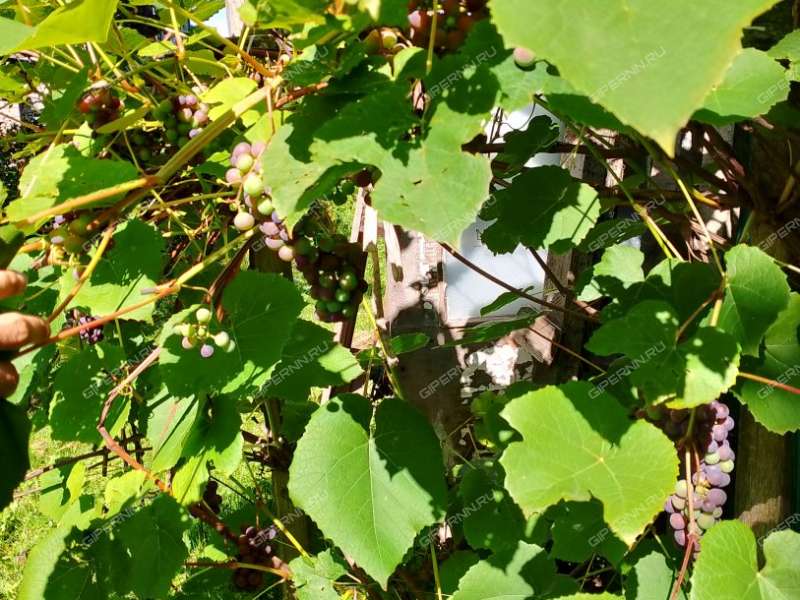 дом на  Первомайский