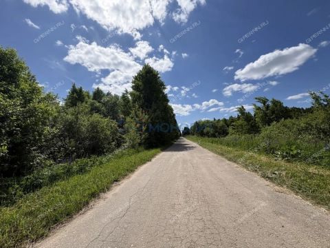 derevnya-inyutino-bogorodskiy-municipalnyy-okrug фото