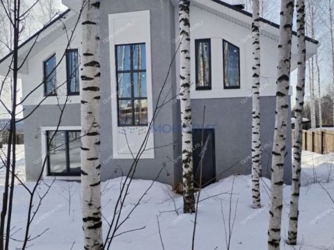 kottedzh-derevnya-shumilovo-bogorodskiy-municipalnyy-okrug фото