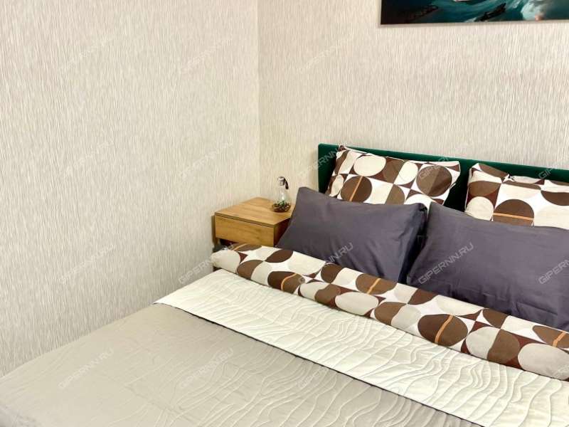 однокомнатная квартира на проспекте Ленина дом 57 к5