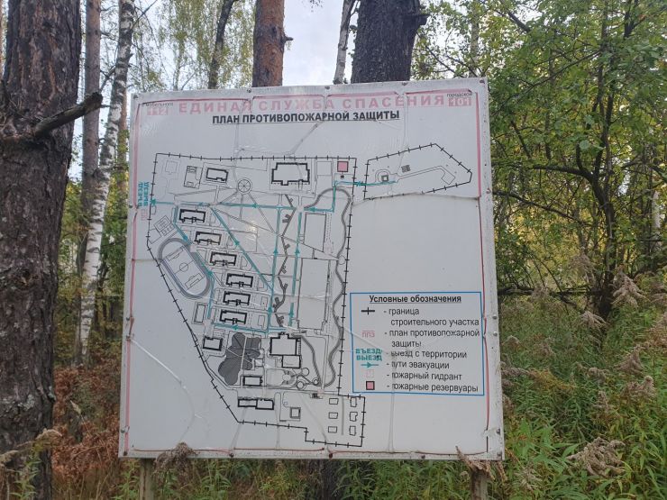 Фото: Ксения Ражева