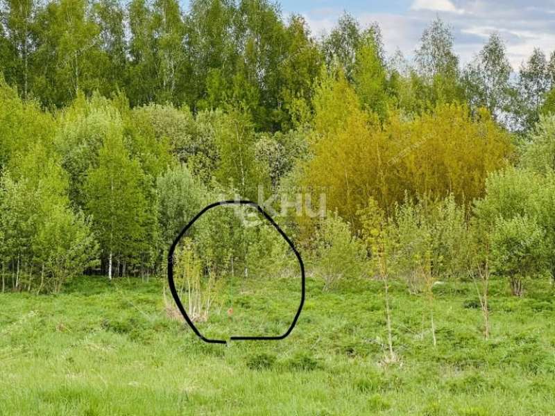 земельный участок 20 соток Семена Захарова село Дуденево