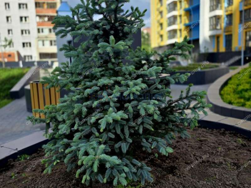 двухкомнатная квартира в Вишнёвом переулке дом 3