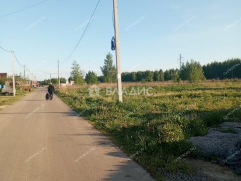 selo-diveevo-diveevskiy-municipalnyy-okrug фото