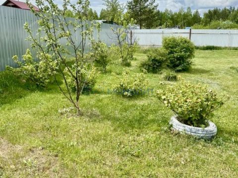 dom-st-michurinec-sad-n-7-gorodskoy-okrug-dzerzhinsk фото