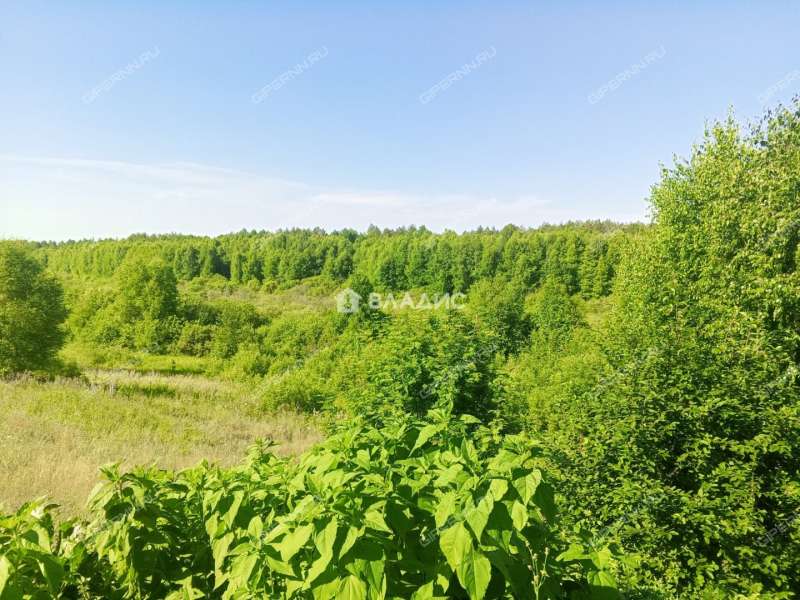 трёхкомнатная квартира на улице Озёрная дом 13 село Ядрово