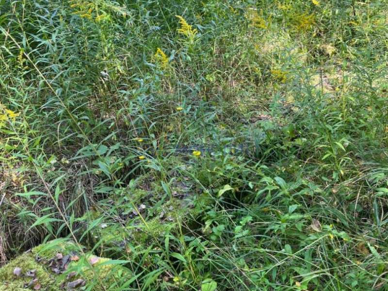 земельный участок 15 соток Дружбы улица село Елховка