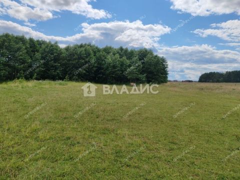 derevnya-inyutino-bogorodskiy-municipalnyy-okrug фото