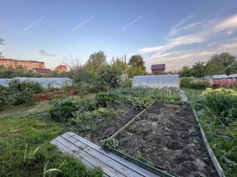 dacha-snt-nadezhda фото