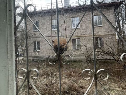 2-komnatnaya-ul-ladyzhnikova-d-3 фото