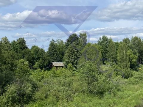 dom-derevnya-ogibnoe-semenovskiy-gorodskoy-okrug фото