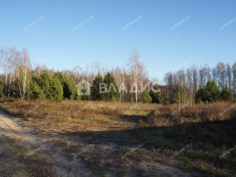 dom-derevnya-shhepachiha-pavlovskiy-municipalnyy-okrug фото