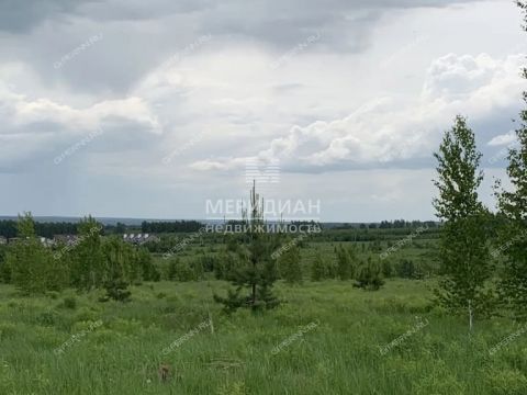 taunhaus-pr-lazurnyy-d-5 фото