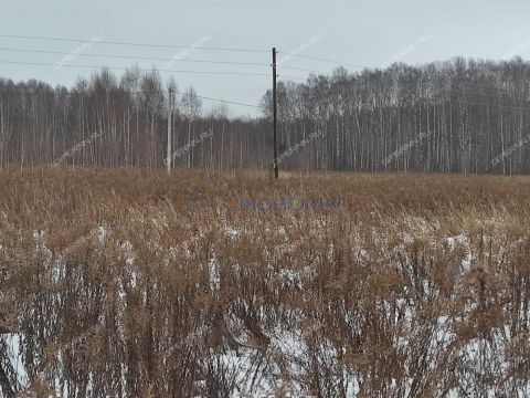 derevnya-zavrazhnoe-lindovskiy-selsovet-gorodskoy-okrug-bor фото