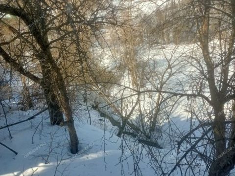 dacha-snt-druzhba-snt-druzhba фото