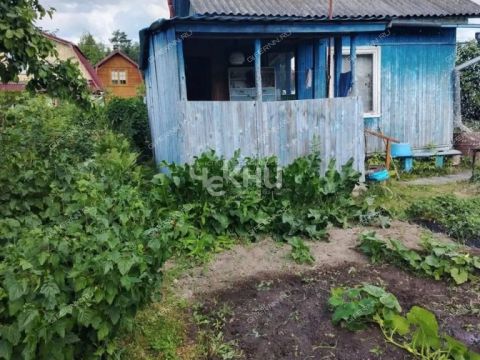 dacha-selo-linda-gorodskoy-okrug-bor фото