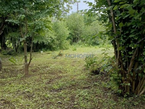 sad-snt-n-1-malyshevo фото