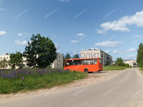 2-komnatnaya-selo-chistoe-pole-lindovskiy-selsovet-gorodskoy-okrug-bor фото