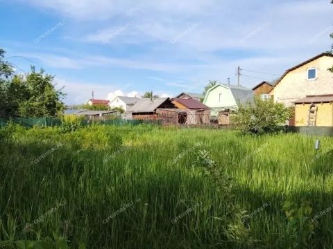 dacha-snt-doz-1-snt-doz-1 фото