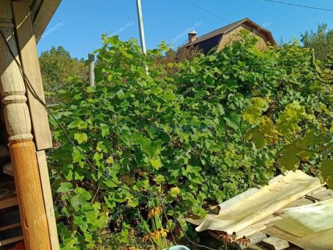 dacha-derevnya-strahovo-gorodskoy-okrug-bor фото