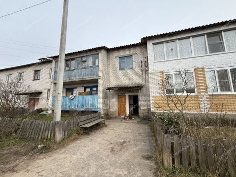 1-komnatnaya-derevnya-fedurino-gorodeckiy-rayon фото