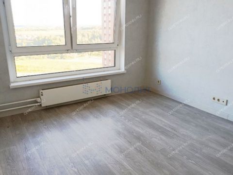 1-komnatnaya-derevnya-utechino-kstovskiy-rayon фото