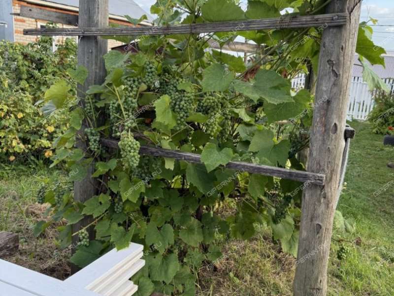 дом на улице Мира деревня Анкудиновка