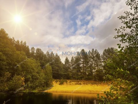 derevnya-lindo-pustyn-gorodskoy-okrug-bor фото