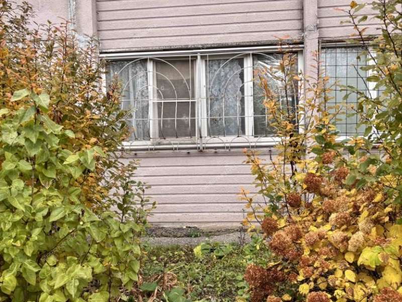 однокомнатная квартира на Зелёной улице дом 69 деревня Афонино