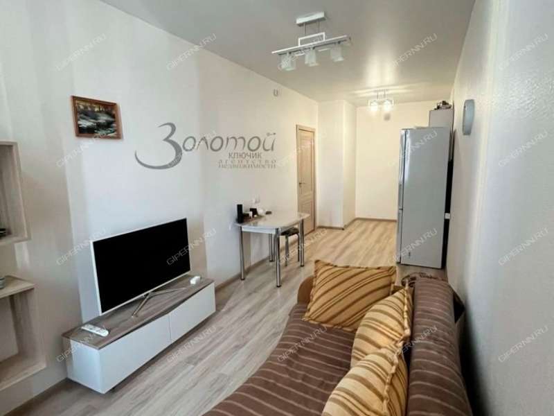 однокомнатная квартира на Русской улице улице дом 19 деревня Анкудиновка