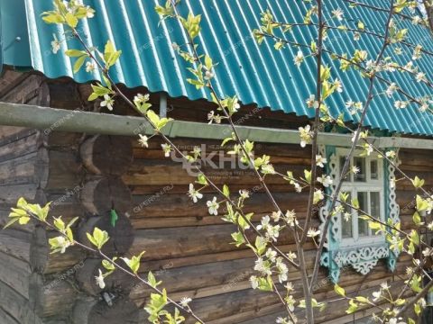 dacha-derevnya-filipcevo-smolkovskiy-selsovet-gorodeckiy-rayon фото