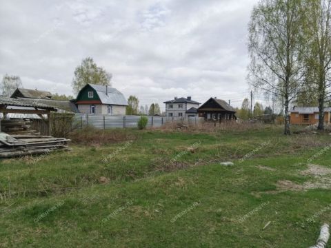 derevnya-ilinskoe-gorodskoy-okrug-bor фото