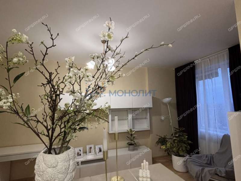 трёхкомнатная квартира на Русской улице улице дом 1 деревня Анкудиновка