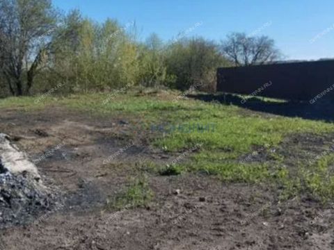 selo-revezen-perevozskiy-gorodskoy-okrug фото